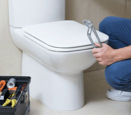 Toilet Plumbing Repair Wheeling